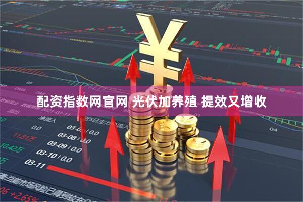 配资指数网官网 光伏加养殖 提效又增收